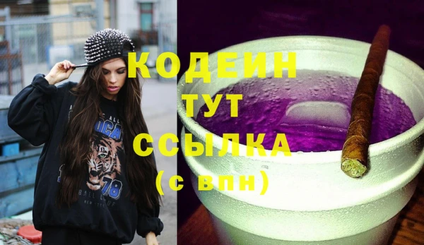 молекула духа Дмитров
