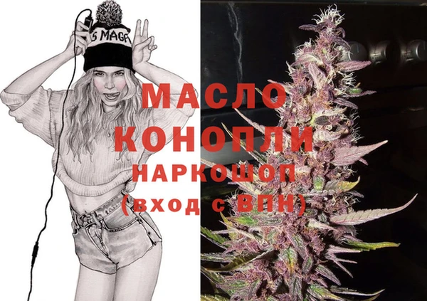 молекула духа Дмитров