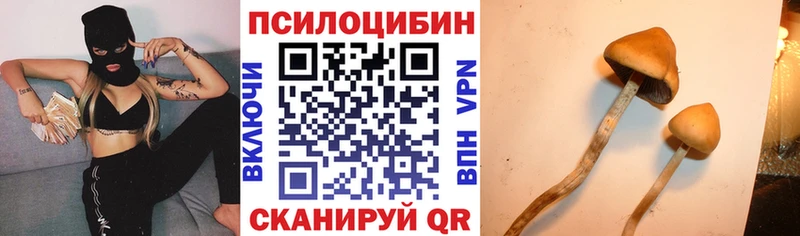 Галлюциногенные грибы Psilocybe  Купить  Апатиты 