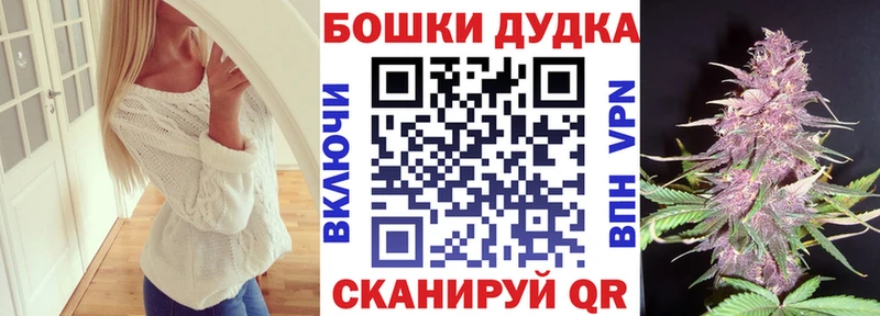 Конопля сатива  Купить закладки  Апатиты 